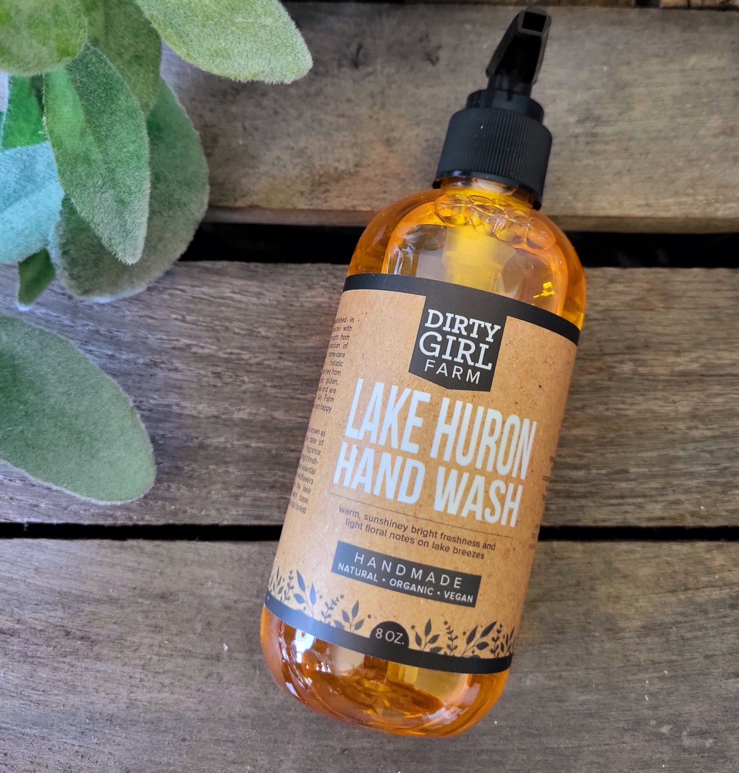 Lake Huron Hand Wash