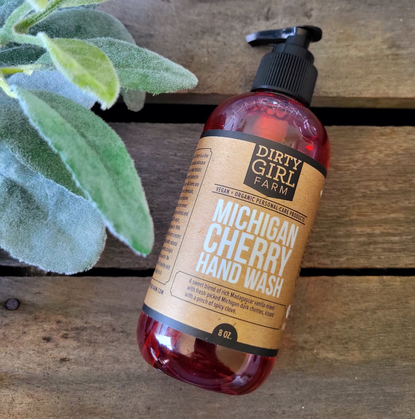 Michigan Cherry Hand Wash